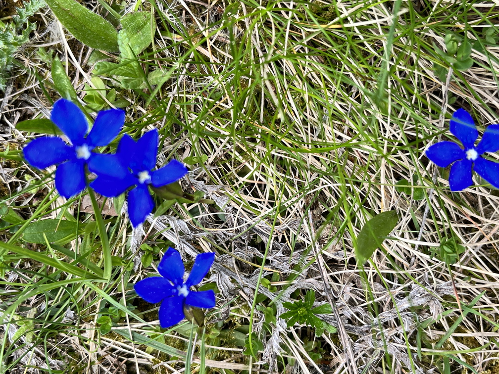 23-05-21 15-06-16 5524